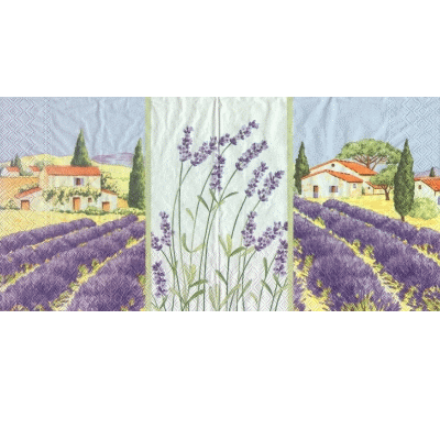 Lavender village